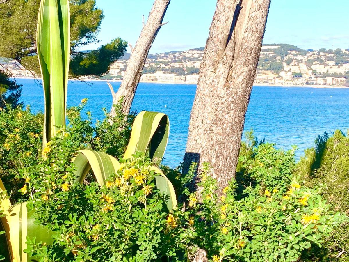 La Plage A 5 Minutes A Pied, Calme Et Verdure Санари-сюр-Мер Экстерьер фото
